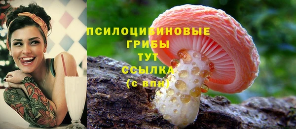 синтетический гашиш Арсеньев