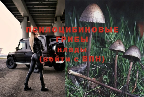 синтетический гашиш Арсеньев