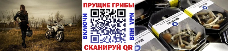 Галлюциногенные грибы мухоморы  как найти   Черняховск 