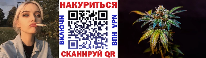 наркотики  Черняховск  МАРИХУАНА сатива 